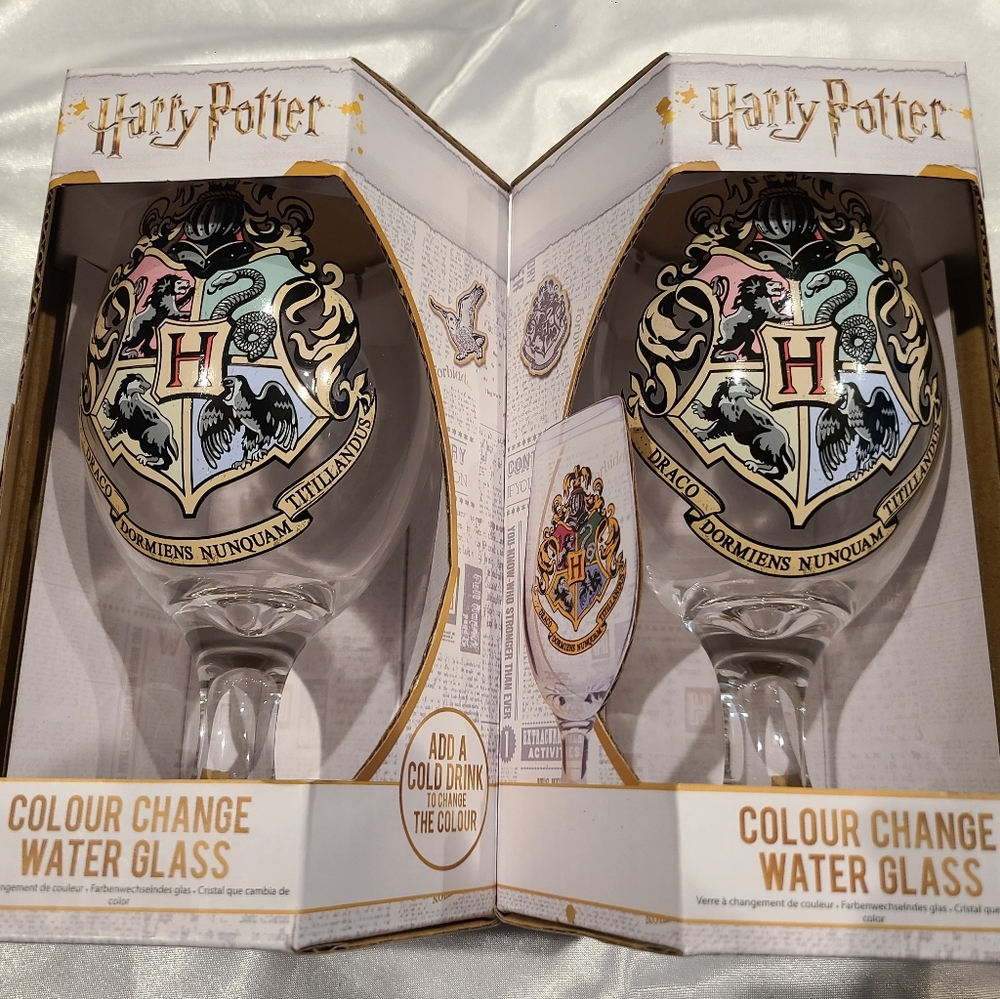 Harry Potter Glasses (2)
